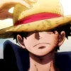 user7974449191555