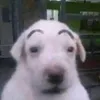 c1g4rr1ll0_d3_m4n40s