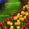 fatima.souab