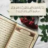 umabdullah0556
