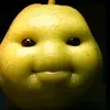 zistx.vl