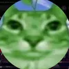 makonhaskat555