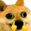 hajjjjakon