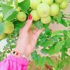 user9070402066112