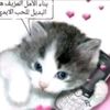 daphn3lov