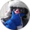 clocking_curse66