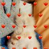 user8024333119182