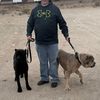 occanecorosguardian