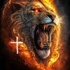 leo126612
