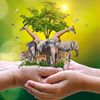 wildnature2000