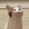 jzhzysuhsshah