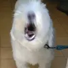 hwskyx