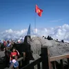 aduim11