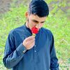 waleedahmad3366