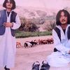 gafar13978