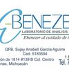 lesliegarza35
