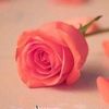 user5uslch5cok
