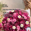 embedangiu_343
