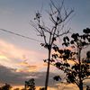fitrinorrahmawati