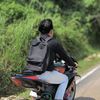 mas_lzy