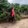 nguyn.th.lnh649