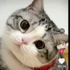 mamahriah21