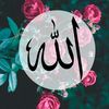 user3801763660299