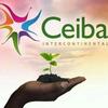 ceiba08