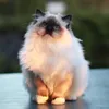 Kingskittiesragdolls