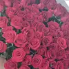 user78842443167761