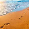 mar_rin_mar7