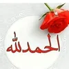 user48l1jk1xys