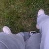.bendikk