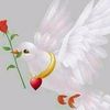 user3176519293940