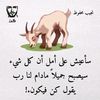 alah13temp