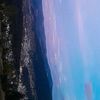 danut_zz123