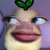 shrly_dwiaa