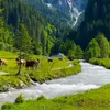 alikoredstane7