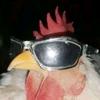 the_epic_chicken1