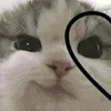 izabbl8