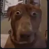 xyag0x