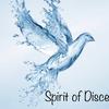 spiritofdiscernment