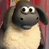 ifnamednp