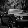 landonmiller221