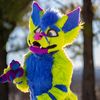galaxy_the_folf