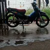 brahamwodder
