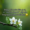 mai.nguyn88999