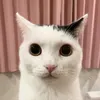 ffffffffffrgdhdffff