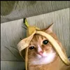 pabelo.pabelo_