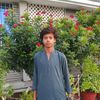 rehmanqureshi279